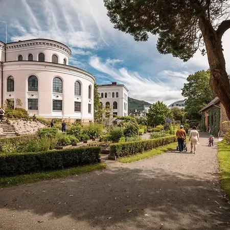 New Couples In The Heart Of * Bergen